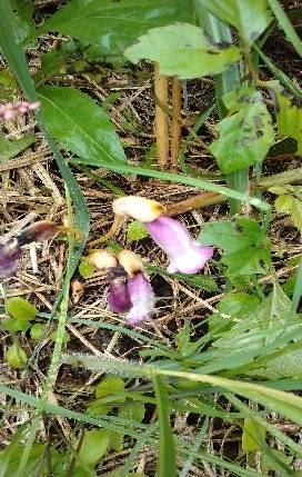 image013