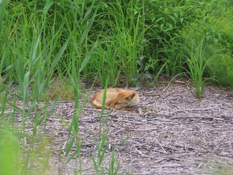 image015