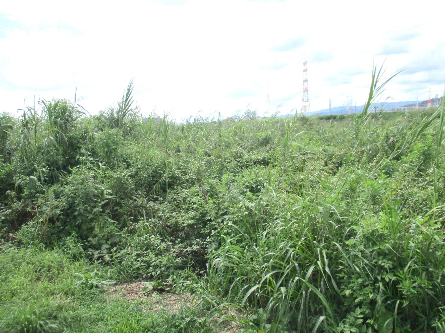 image001